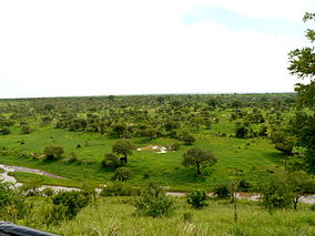 Tarangire national park