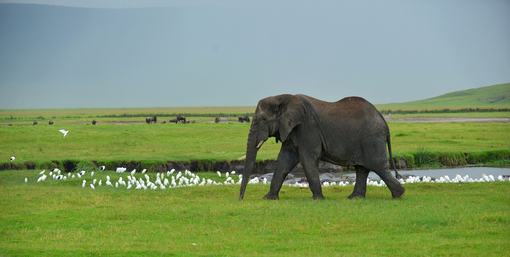 big five safaris tanzania